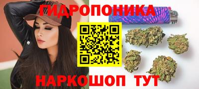 мдпв Канаш